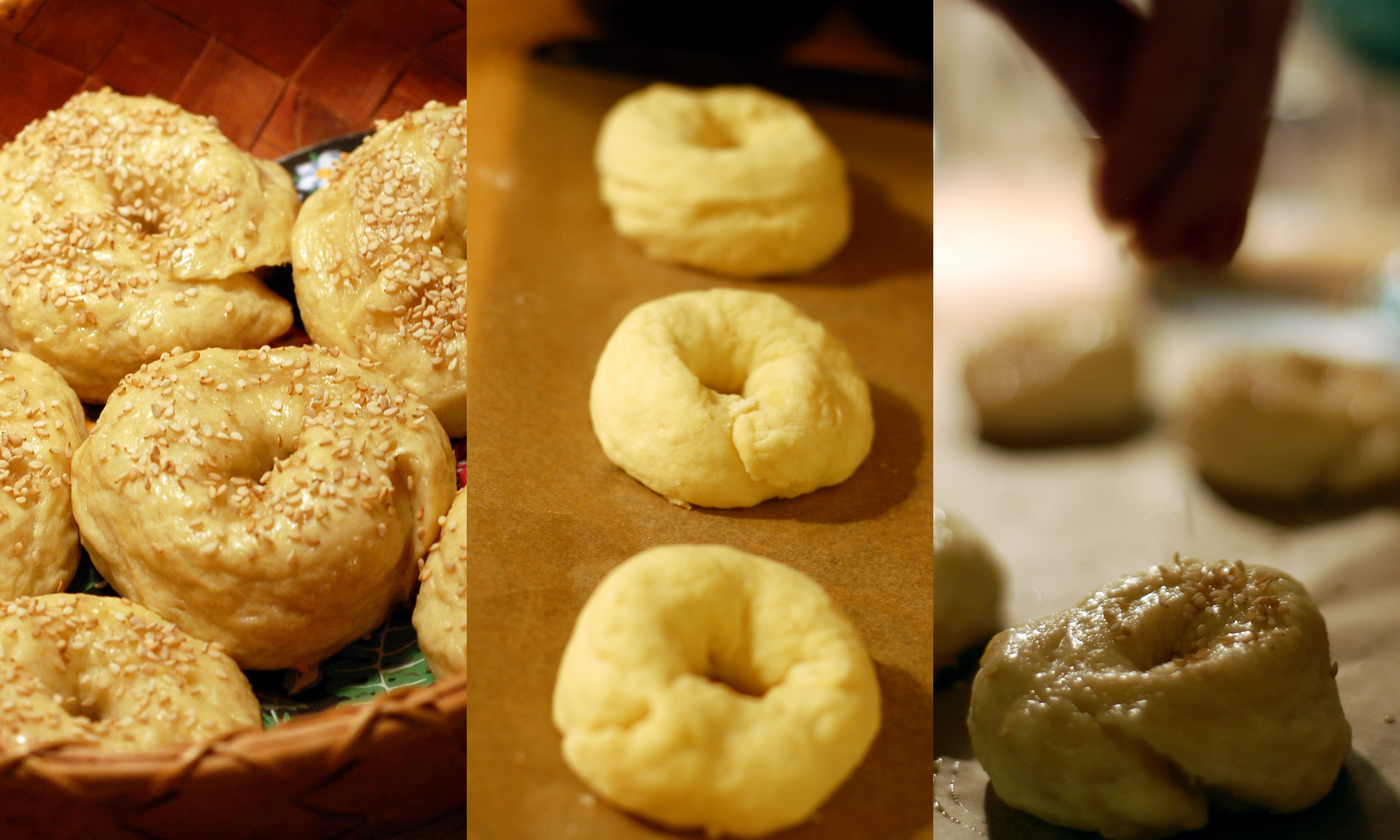 bagels11 Bagels