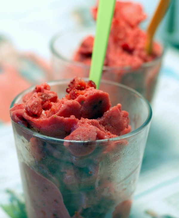 frozen yoghurt frozen yoghurt 600x729 9 nyttiga godsaker