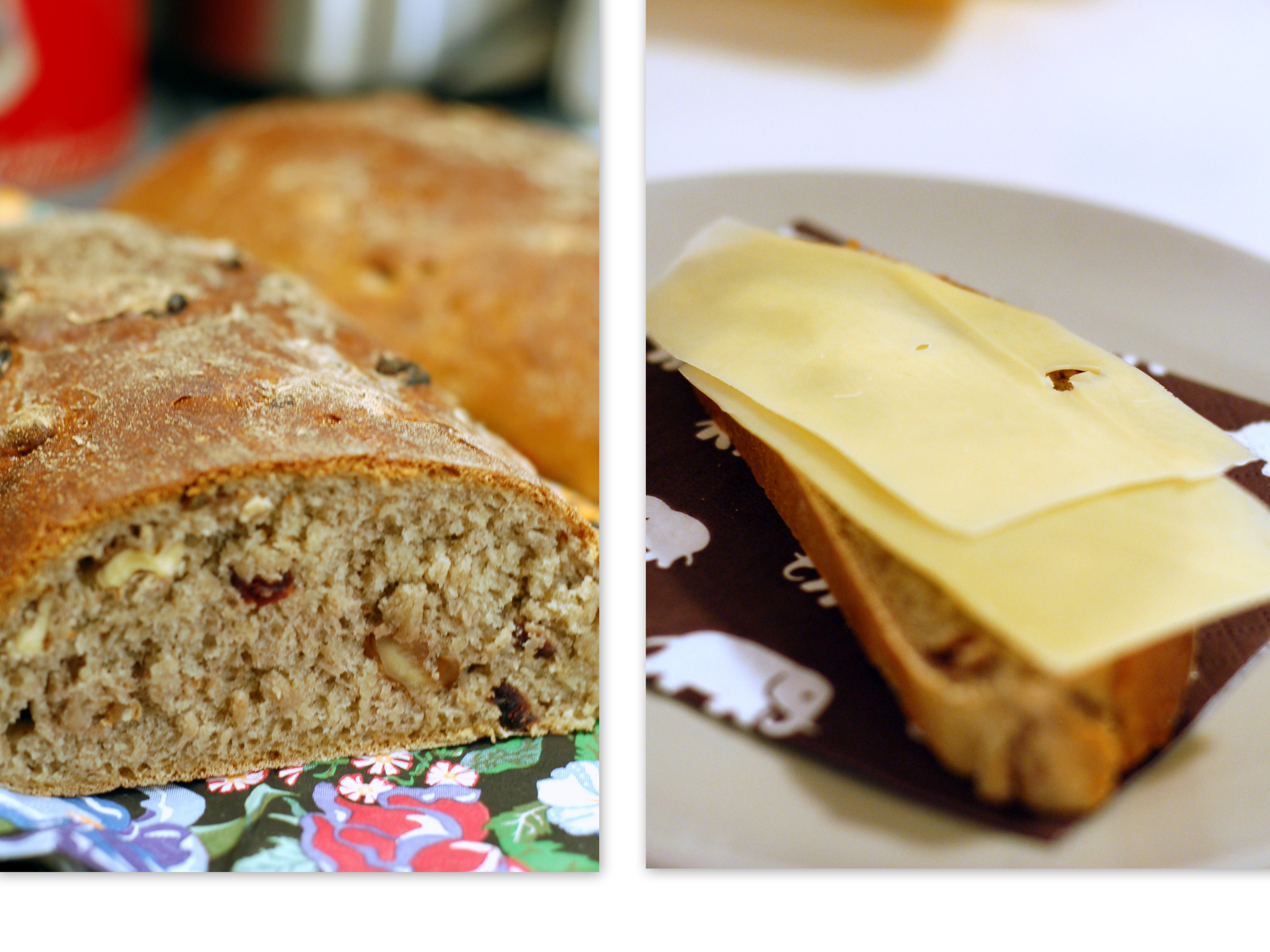 Nötbröd med kanel och torkade tranbär