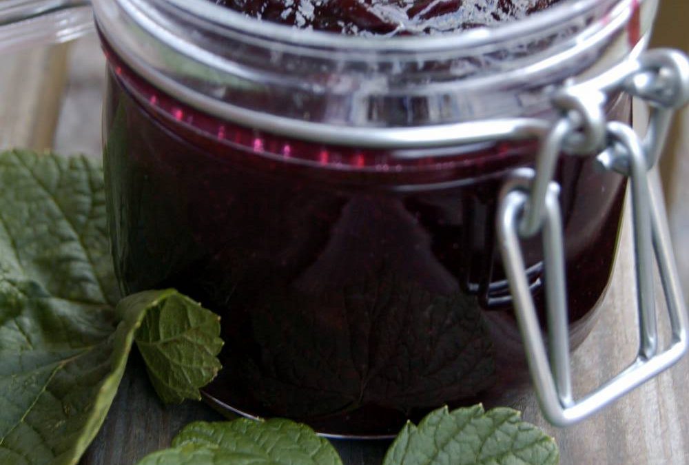 Eftersylt på svarta vinbär