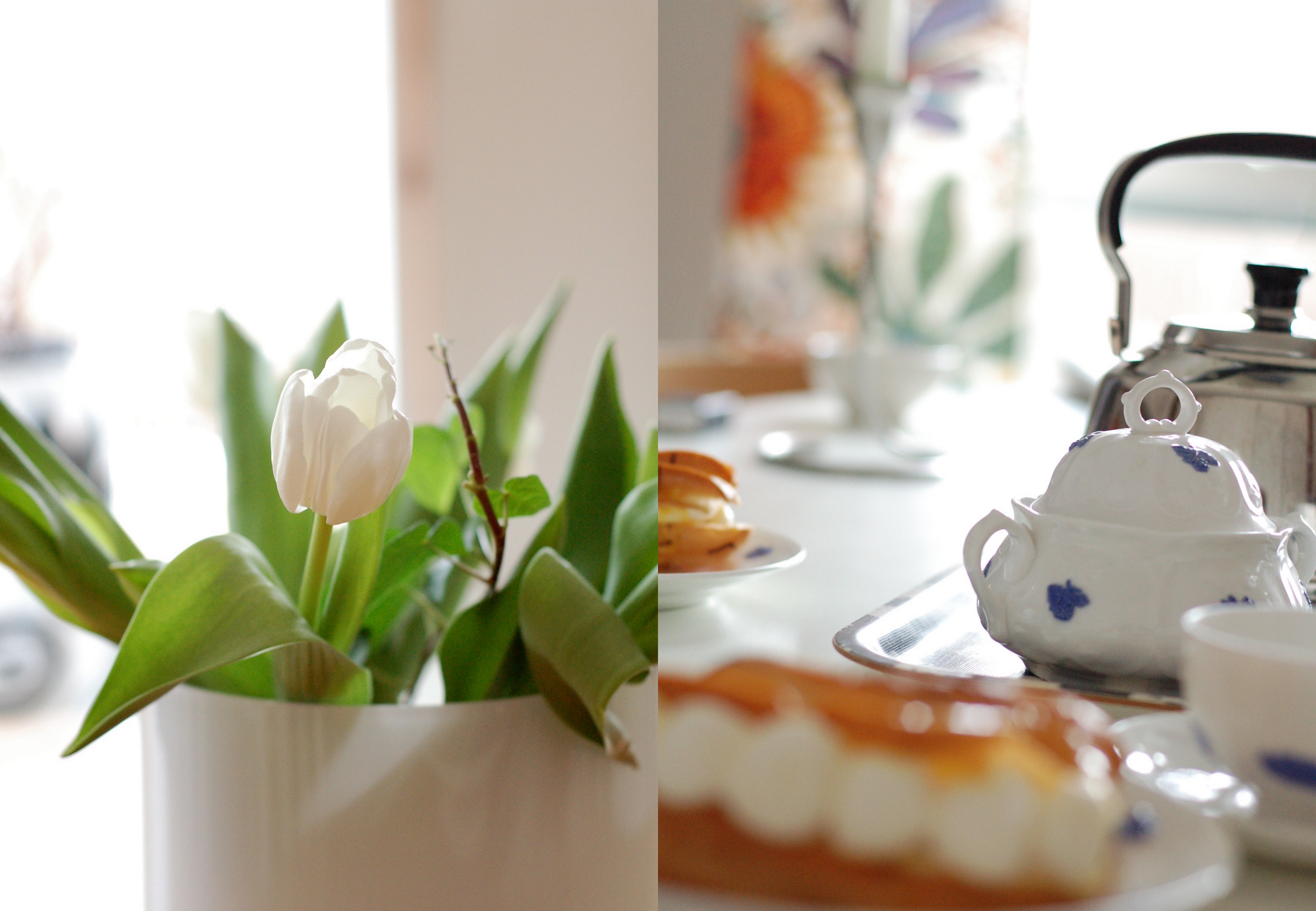 Kaffe, tulpaner och förädlade bananer