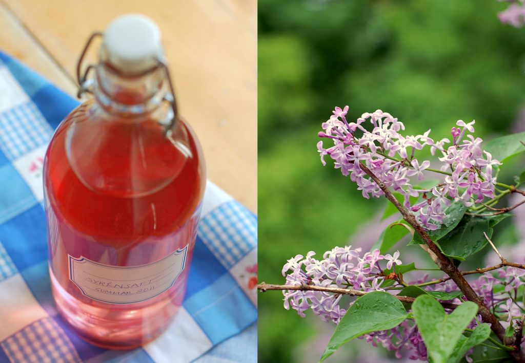 Syrénsaft recept