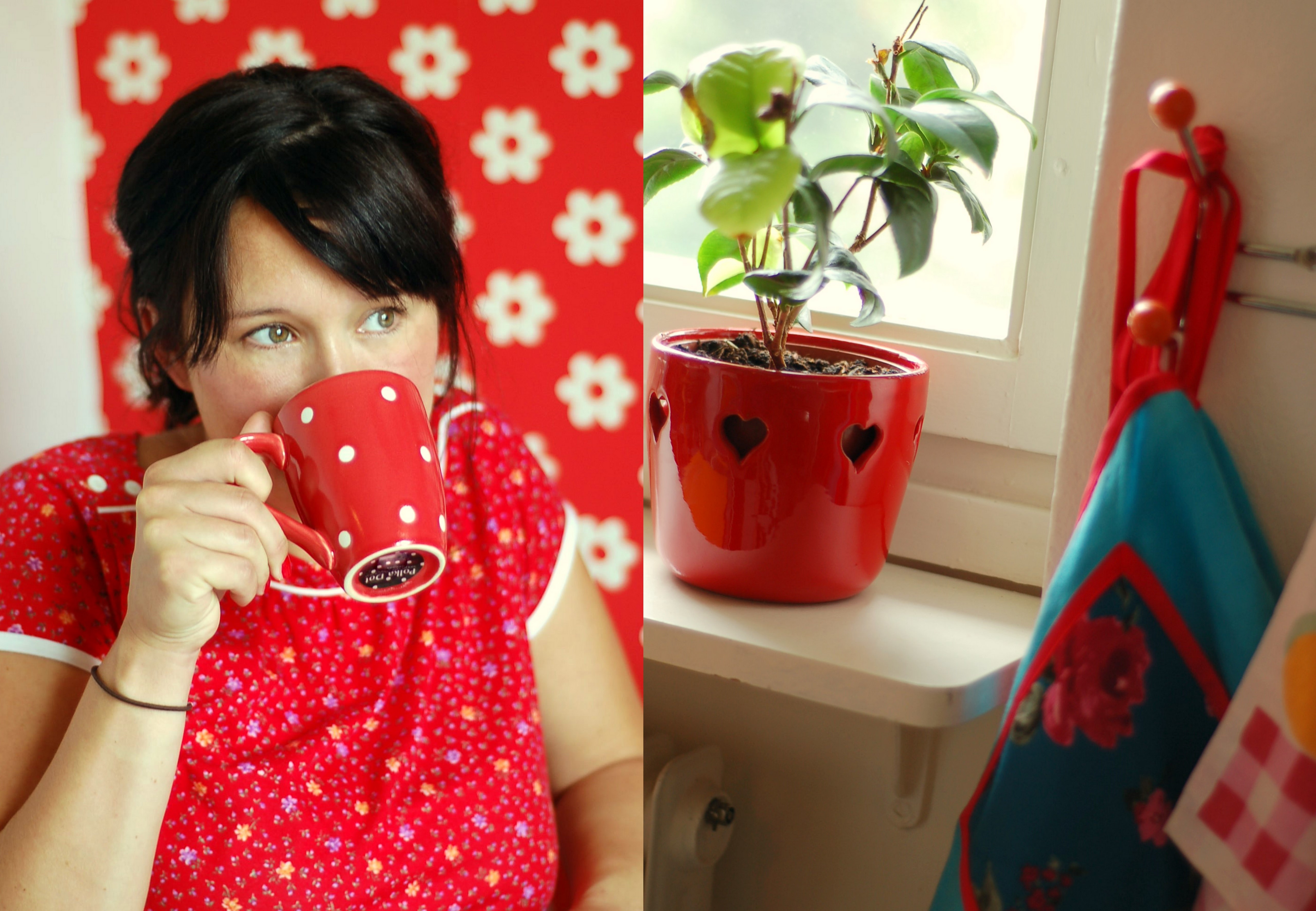 Nytt liv och ströbrödskaka