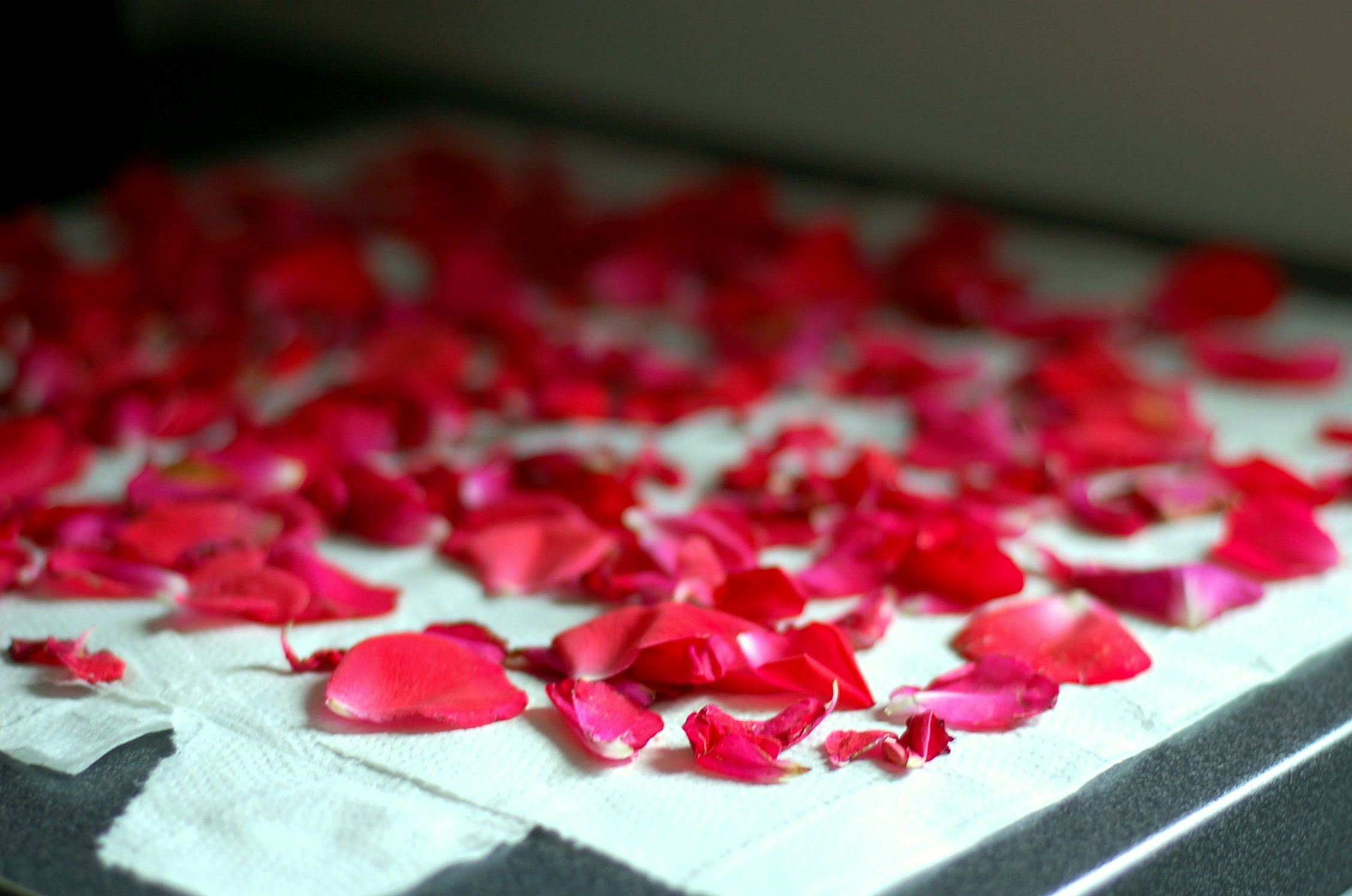 Gather ye rosebuds while ye may…