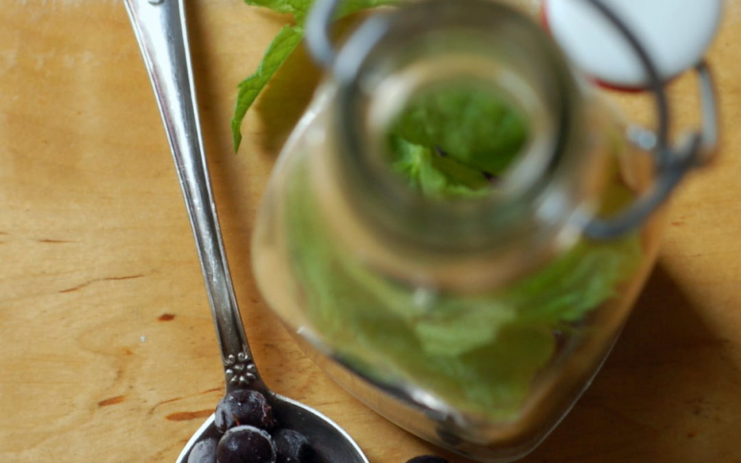 Svartvinbärsvinäger