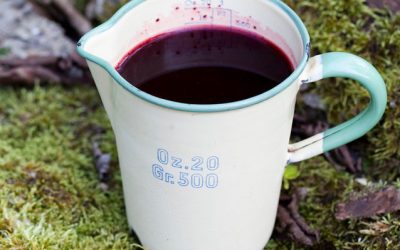 blåbärssoppa recept