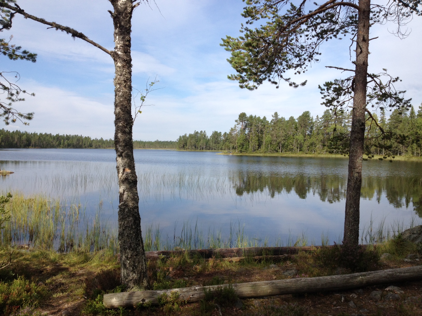 Goda utsikter