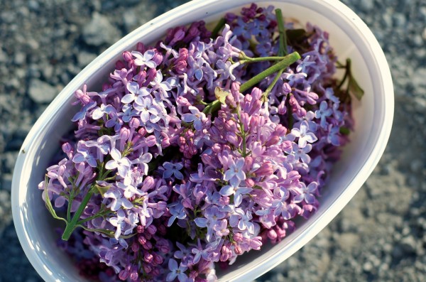 Blommig saft