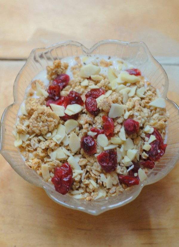 Tranbärsgranola