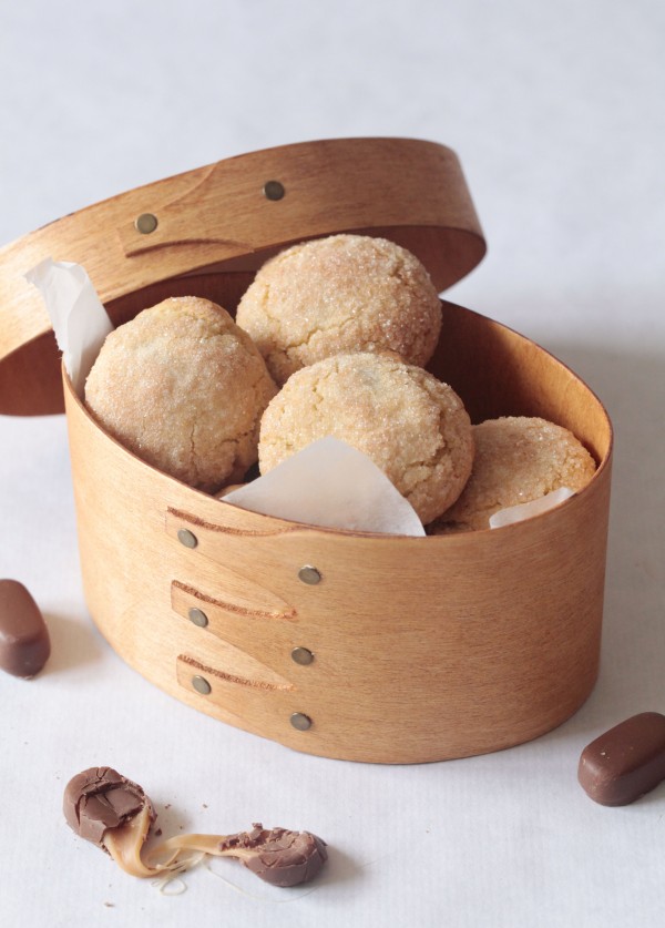 Dumlecookies