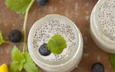 grundrecept på chiapudding